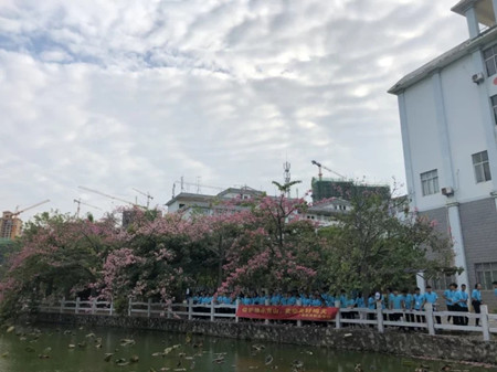 环境2.webp_副本.jpg