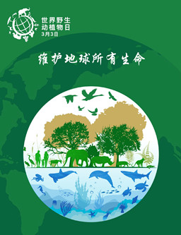 1584671380113466.jpg 野味4_副本.jpg