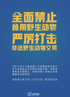 1584671435806243.jpg 野味5_副本.jpg