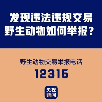 1584671482291110.jpg 野味3_副本.jpg