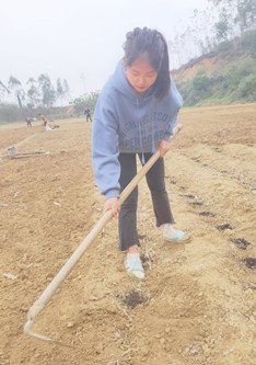 1585017113447229.jpg 英协 欧丽锦2_副本.jpg