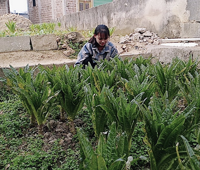 1585017149586953.jpg 翰墨书法协会+岑金霞_副本.jpg