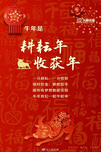 QQ图片20210224094911.jpg