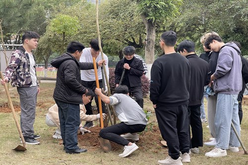 QQ图片20210322155755.jpg