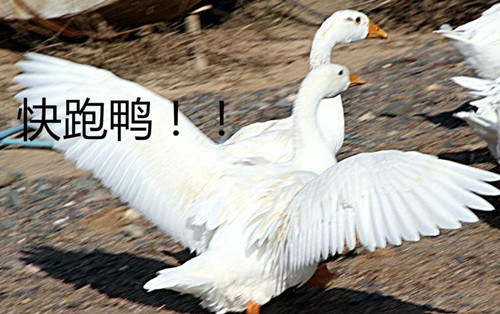 1660535336483849.jpg 640 (14).jpg