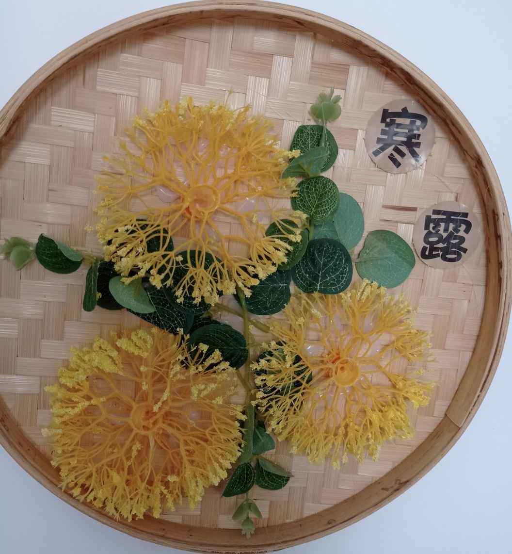 图片 1.png
