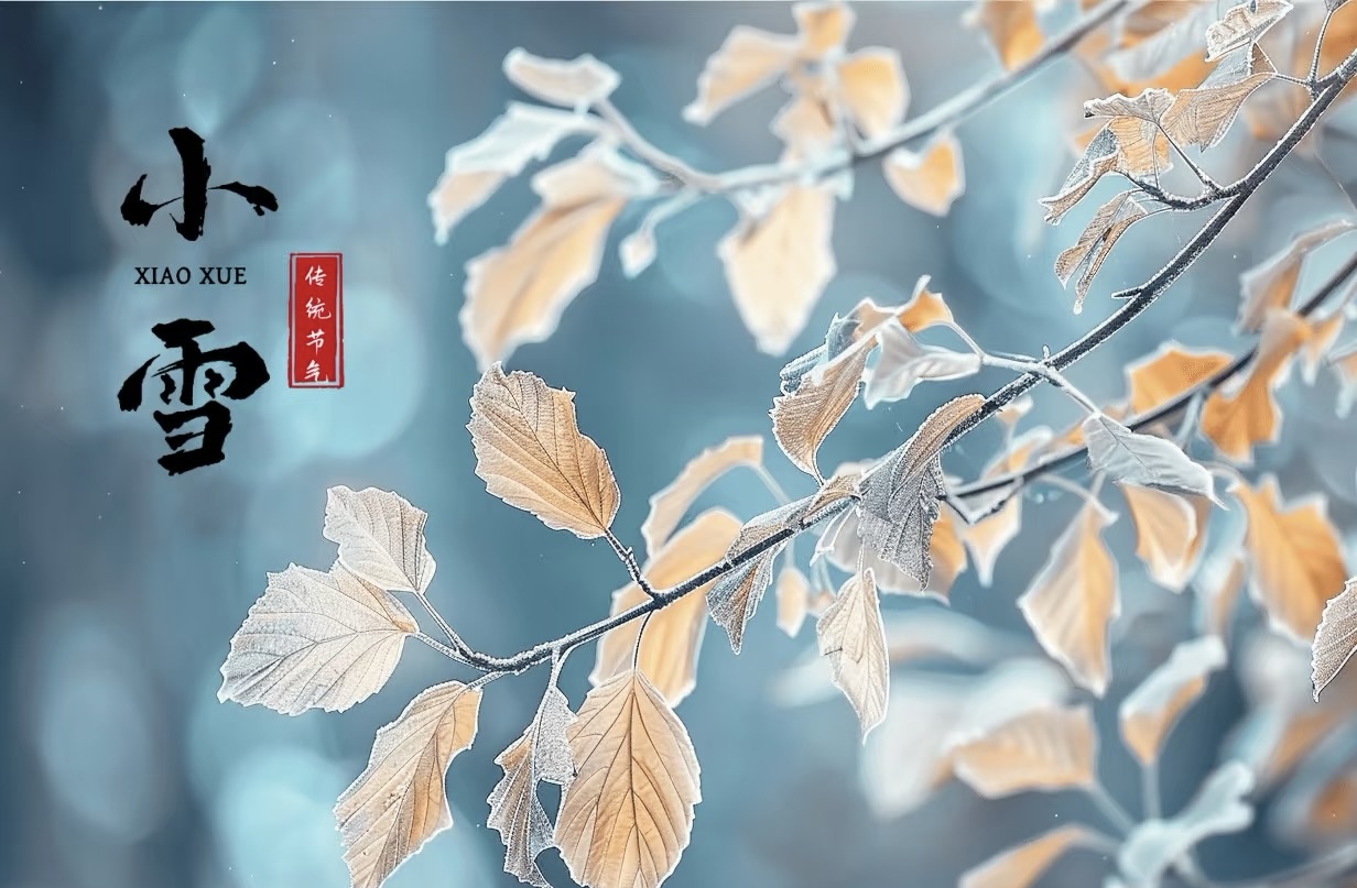 小雪图片.jpg