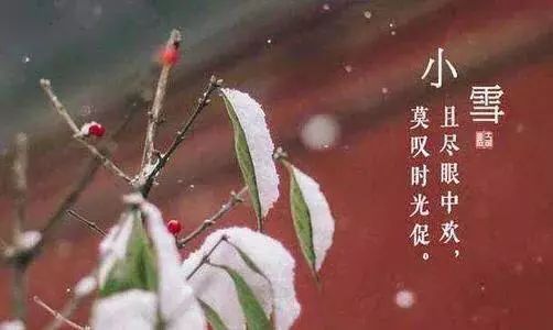 小雪4.jpg